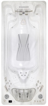 Бассейн с противотоком Hydropool Executive Trainer 19EX